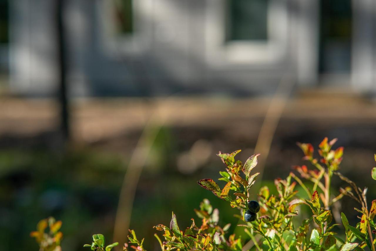 Saimaa Light Apartment Imatra Exterior photo